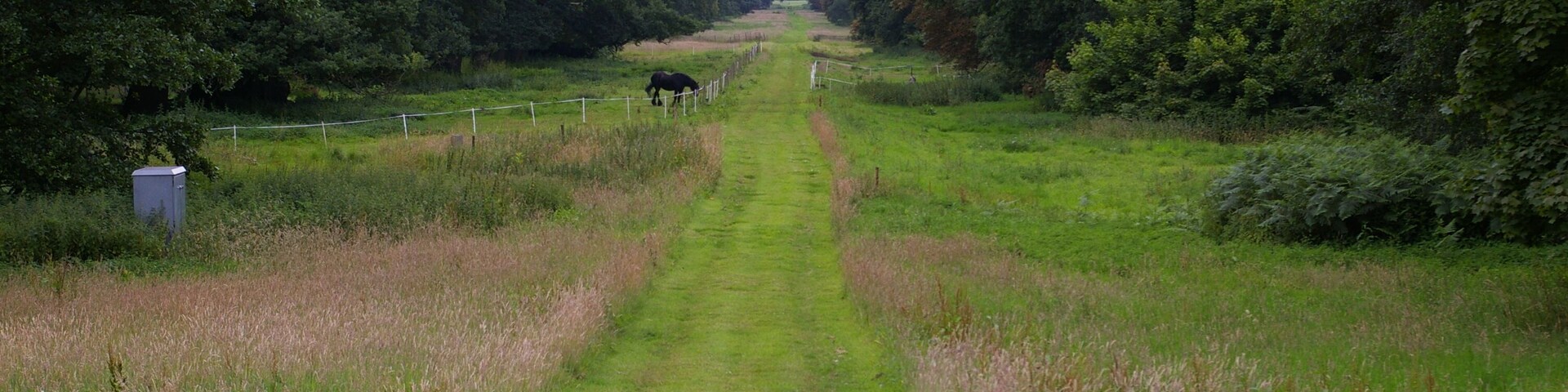 The Chase, Stow Hall, looking south The Chase runs from here for a mile southwards to where Stow Hall used to be. This end of it is used for keeping horses. The grey box on the left appears to be something to do with the nearby pond.