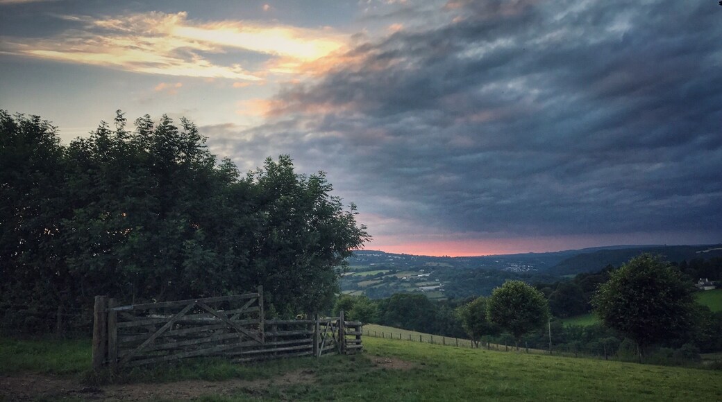Gorgeous evening looking across the Tamar Valley