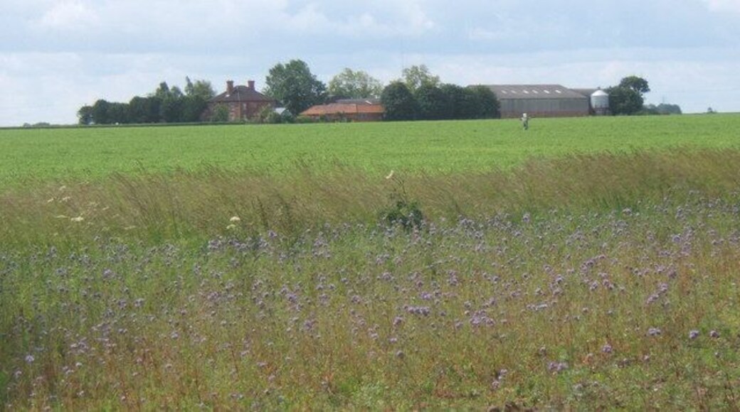Farmland with distant view of Bloom's Hall