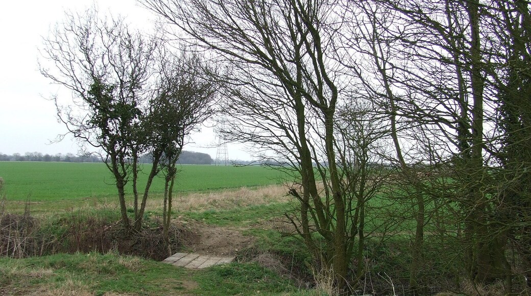 Footbridge Footbridge across a stream near to Rumburgh, Suffolk.