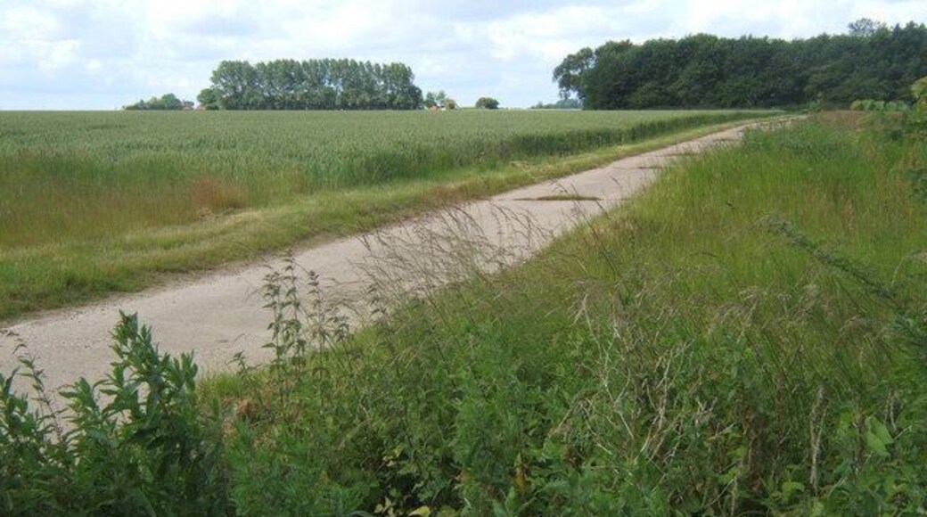Farm driveway, Rumburgh