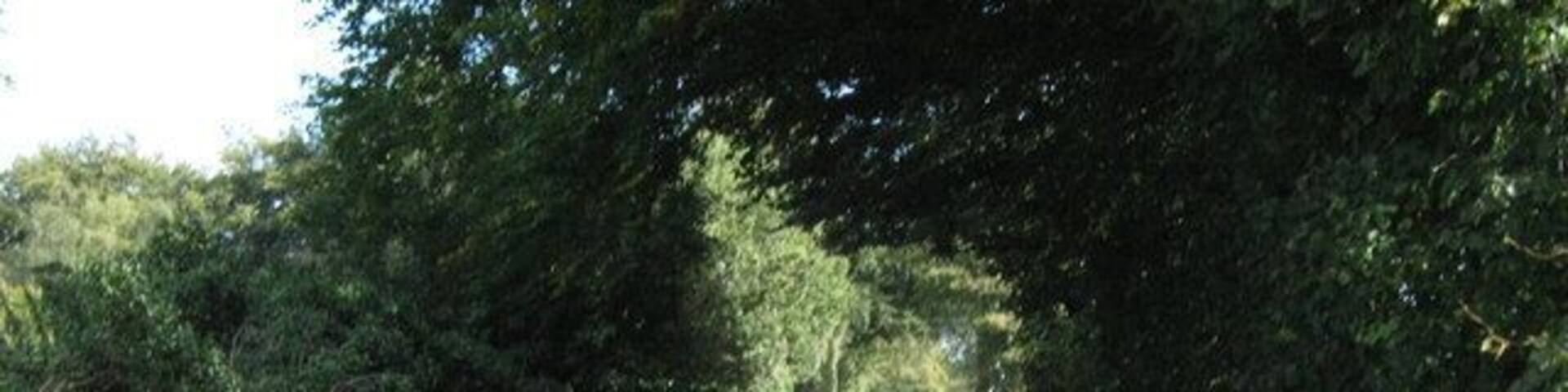 Rudyard Road, Horton. This the view South-East along Rudyard Road, just before it drops down the hill to Rudyard village and the reservoir. See also 1565340