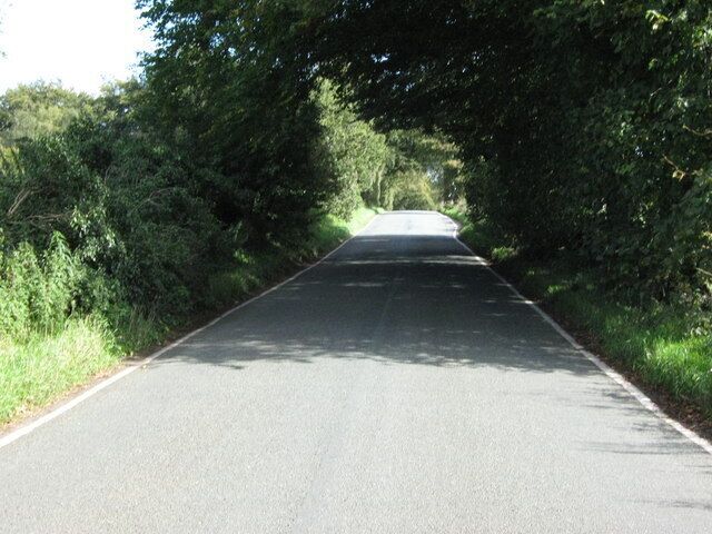 A two-lane road flanked by dense green foliage.