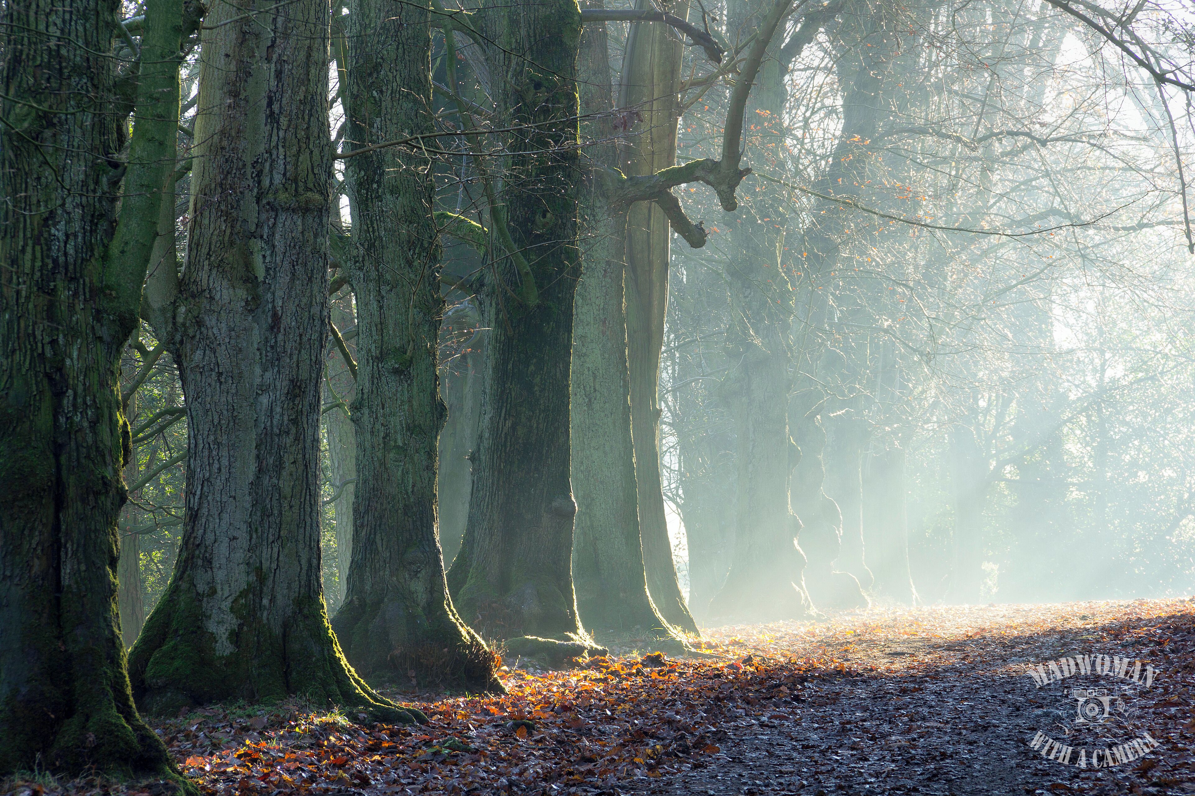 Retreating fog on a sunny winters day