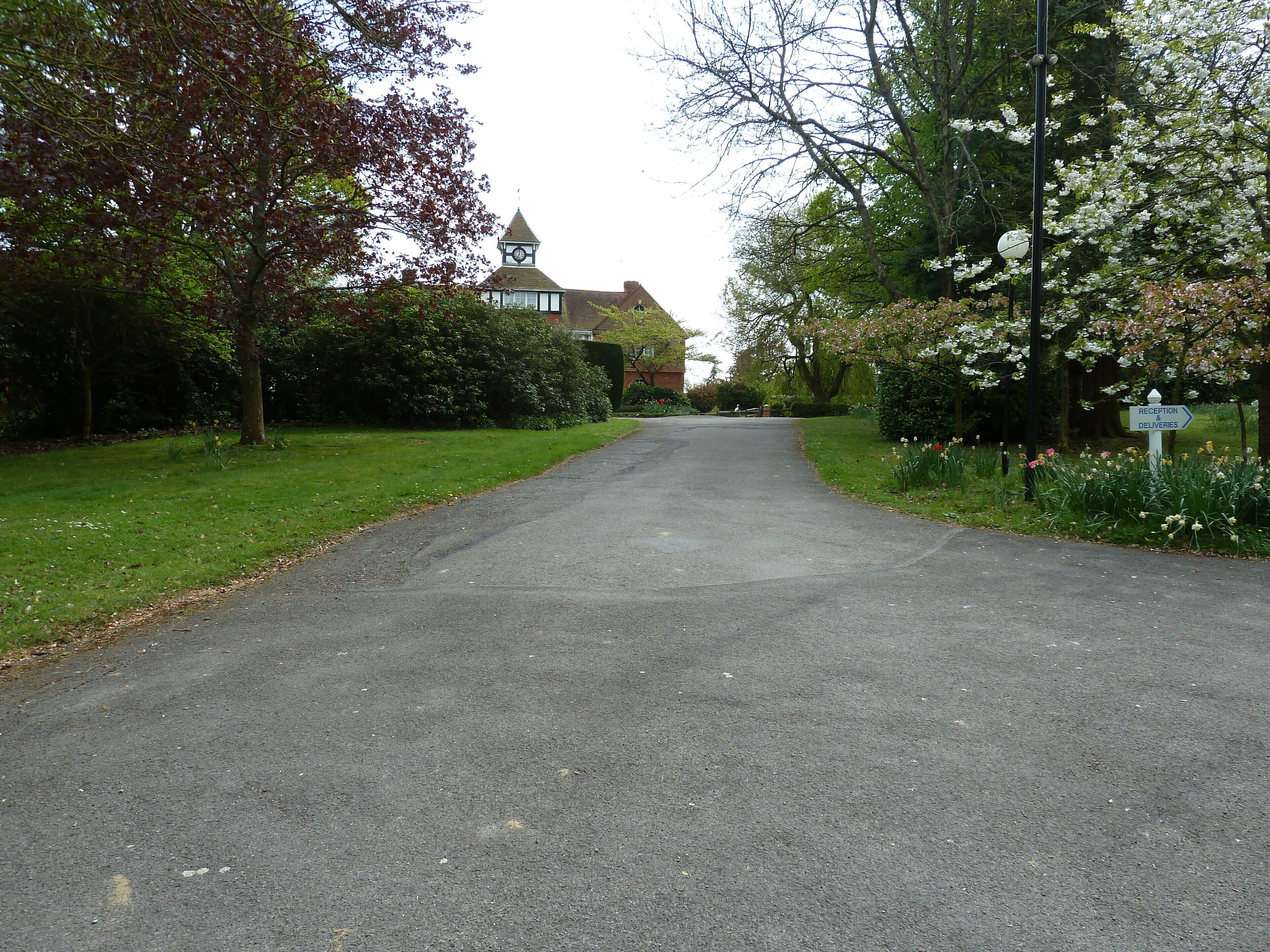 A rural road flanked by trees and a building with a clock tower.
