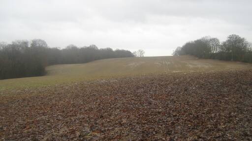 Rolling Fields near Weston's Wood A footpath from Dicker's Wood leads through a small section of the wood before heading along the hedge (on the right) towards Turves Farm in Ruckinge.