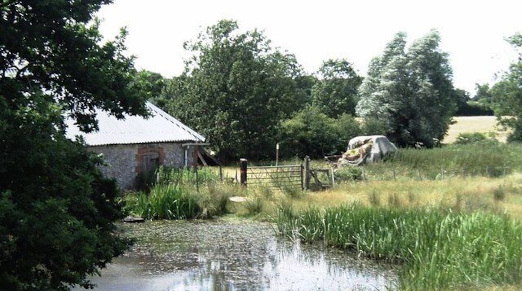 Pond at Lone Barn Farm south of Kingsnorth. Lone Barn Farm comprises two single-storey farm buildings, both apparently disused.