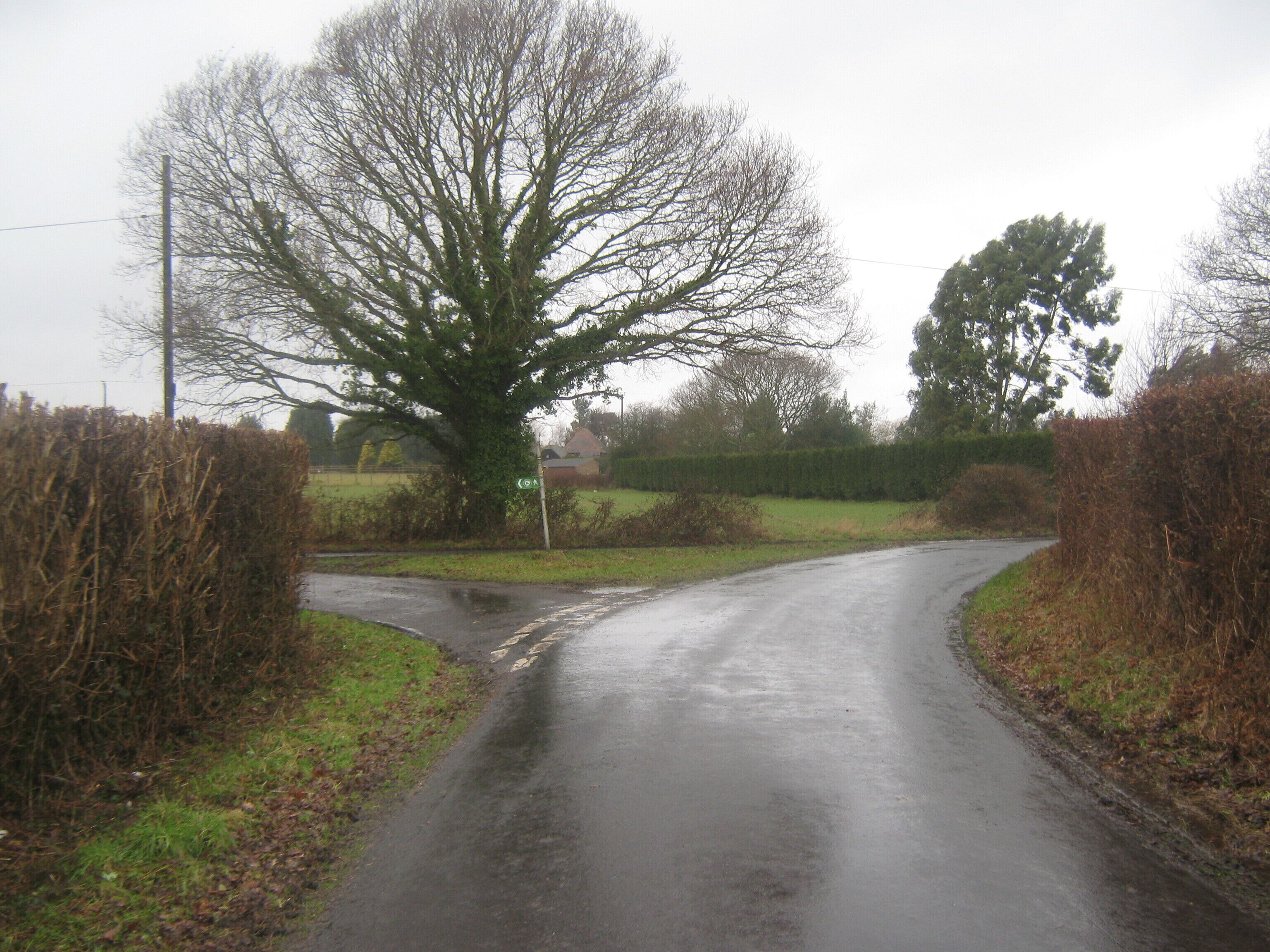Lane junction on Poundhurst Road Poundhurst Road from Ash Hill heads right towards Capel Road. Gill Lane (and the Greensand Way - long distance path) heads left towards Bourne Wood.