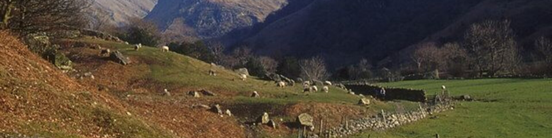 Footpath to Stonethwaite The prominent hill in the background is Eagle Crag