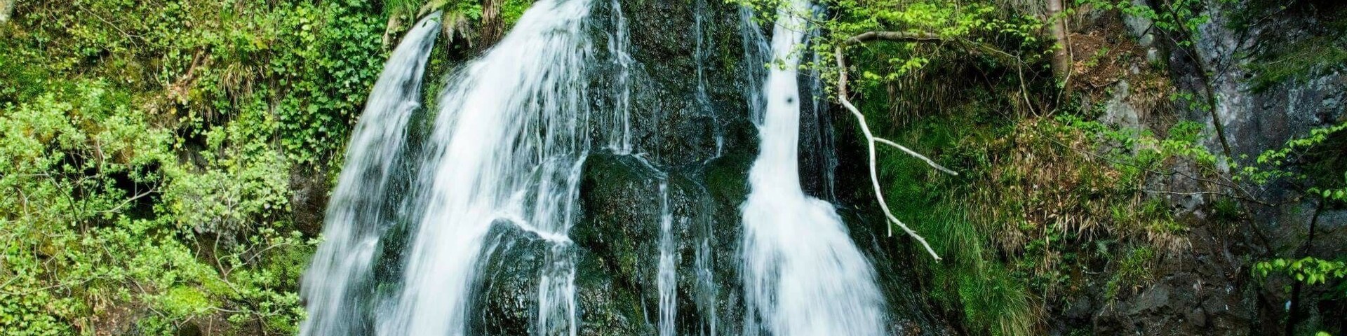 Found this nice little waterfall on a morning wander