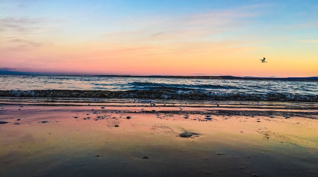 Sunset at Rosemarkie beach featuring a seagull with dinner in its mouth #goldenhour #hiking