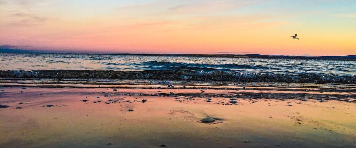Sunset at Rosemarkie beach featuring a seagull with dinner in its mouth #goldenhour #hiking