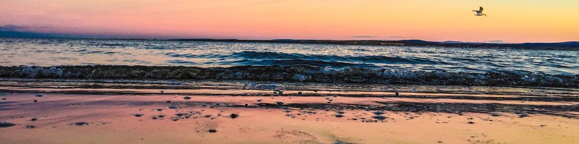 Sunset at Rosemarkie beach featuring a seagull with dinner in its mouth #goldenhour #hiking