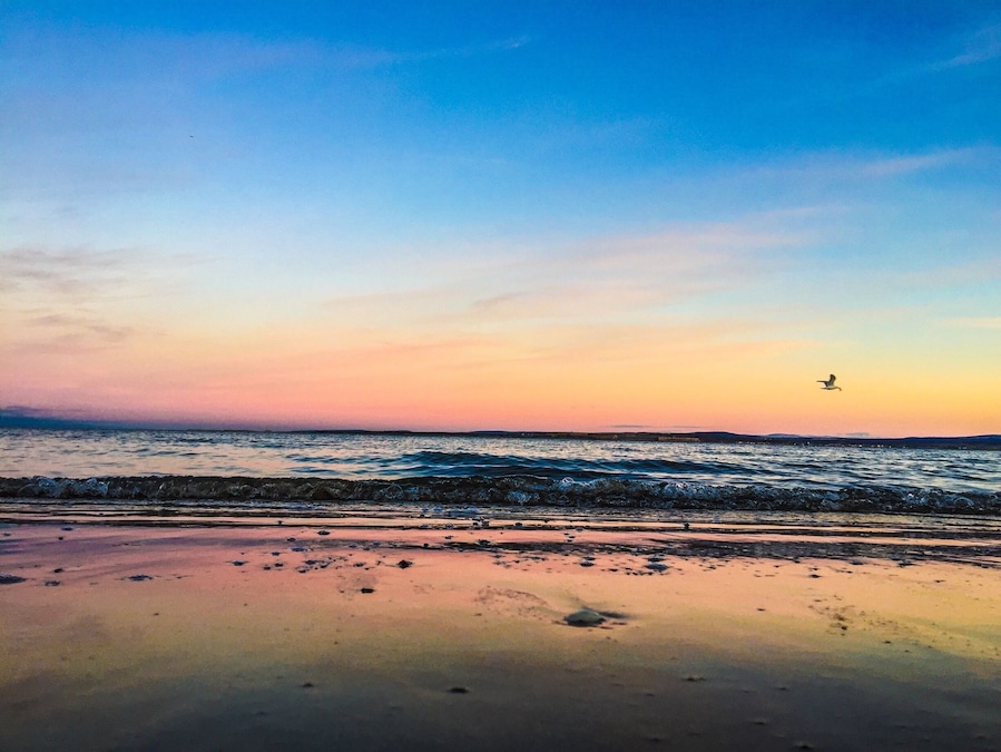 Sunset at Rosemarkie beach featuring a seagull with dinner in its mouth #goldenhour #hiking
