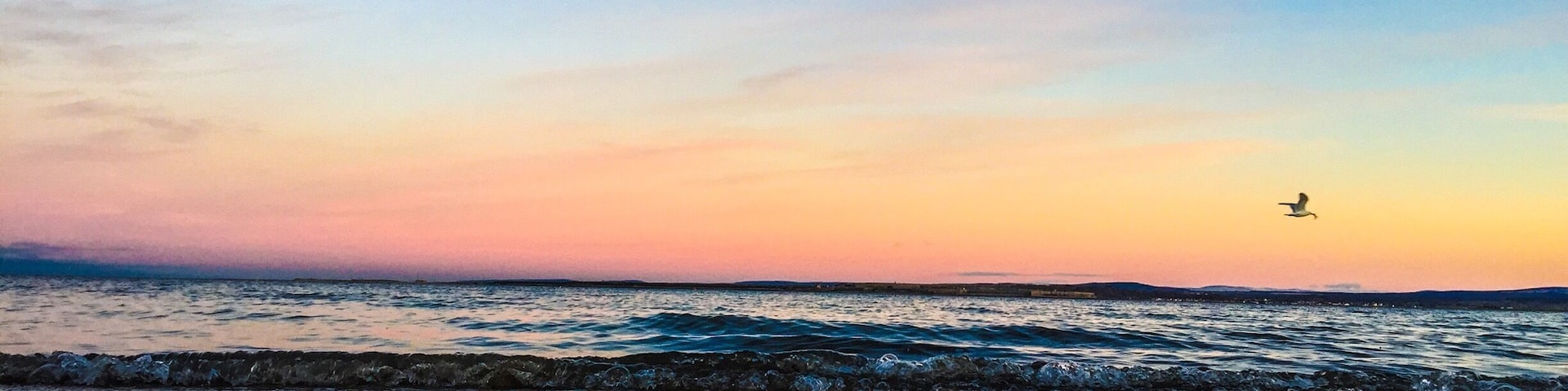Sunset at Rosemarkie beach featuring a seagull with dinner in its mouth #goldenhour #hiking
