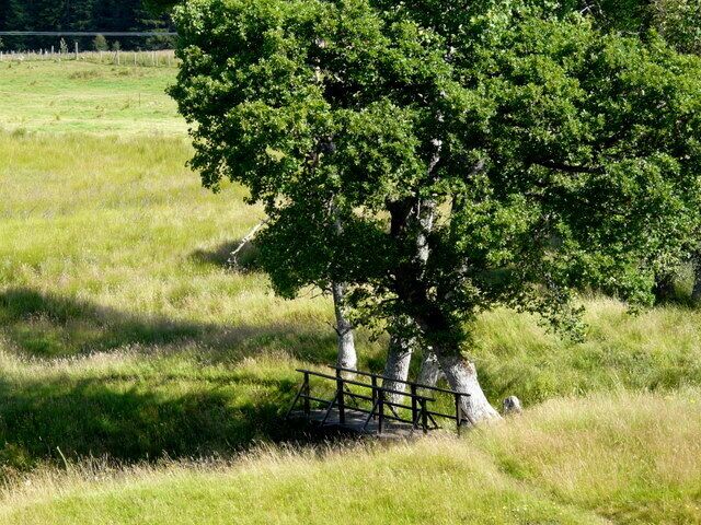 Footbridge at Rosehall Bridge