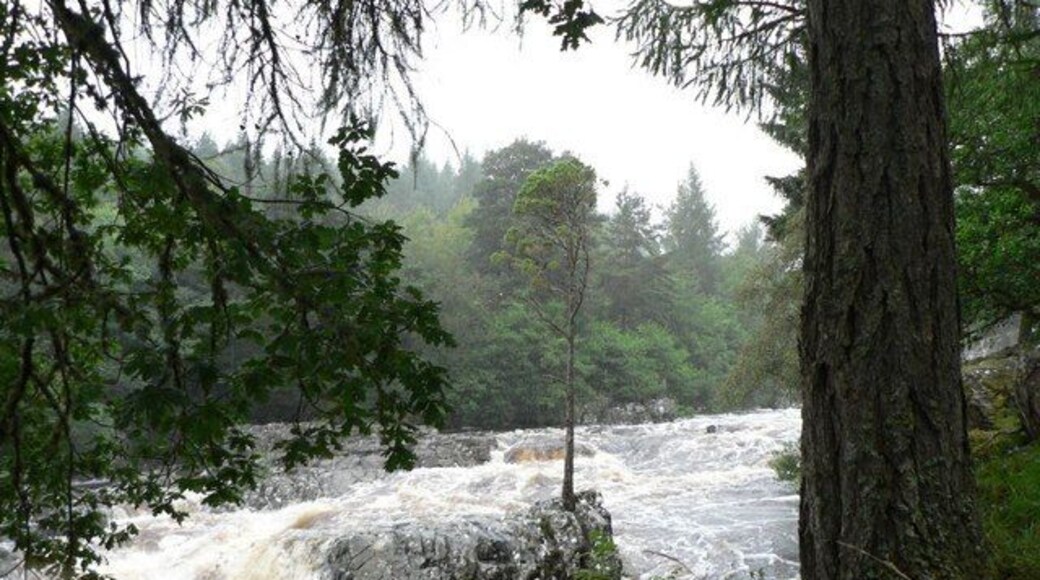 Cassley in spate. Even with the water at this height, it is almost beyond belief that the pine tree growing in the rock in the middle of the stream has survived and yet when the melting snows add to the flow, the river could well be several feet higher.1133863 shows this part of the river in these conditions. You can still just make out the tree but the boulder's under water.