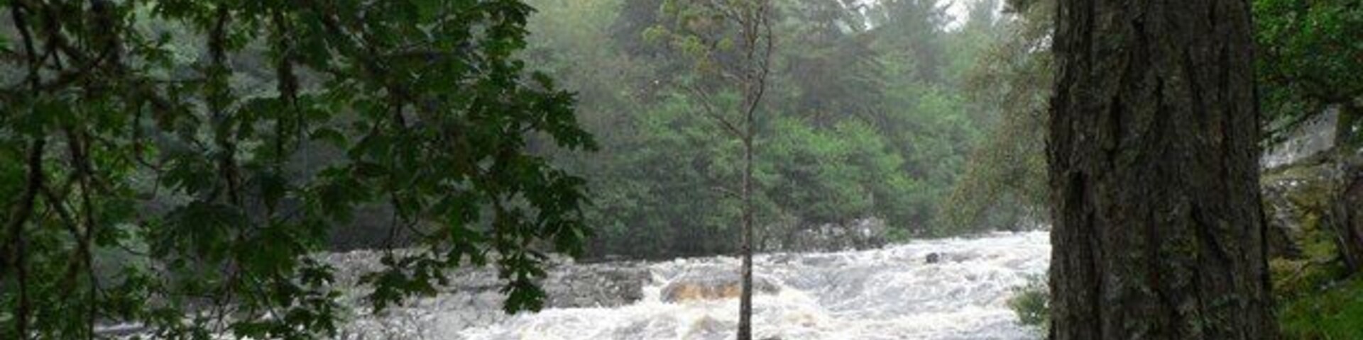Cassley in spate. Even with the water at this height, it is almost beyond belief that the pine tree growing in the rock in the middle of the stream has survived and yet when the melting snows add to the flow, the river could well be several feet higher.1133863 shows this part of the river in these conditions. You can still just make out the tree but the boulder's under water.