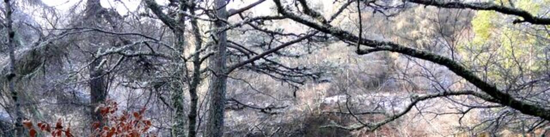 River Cassley, Achness