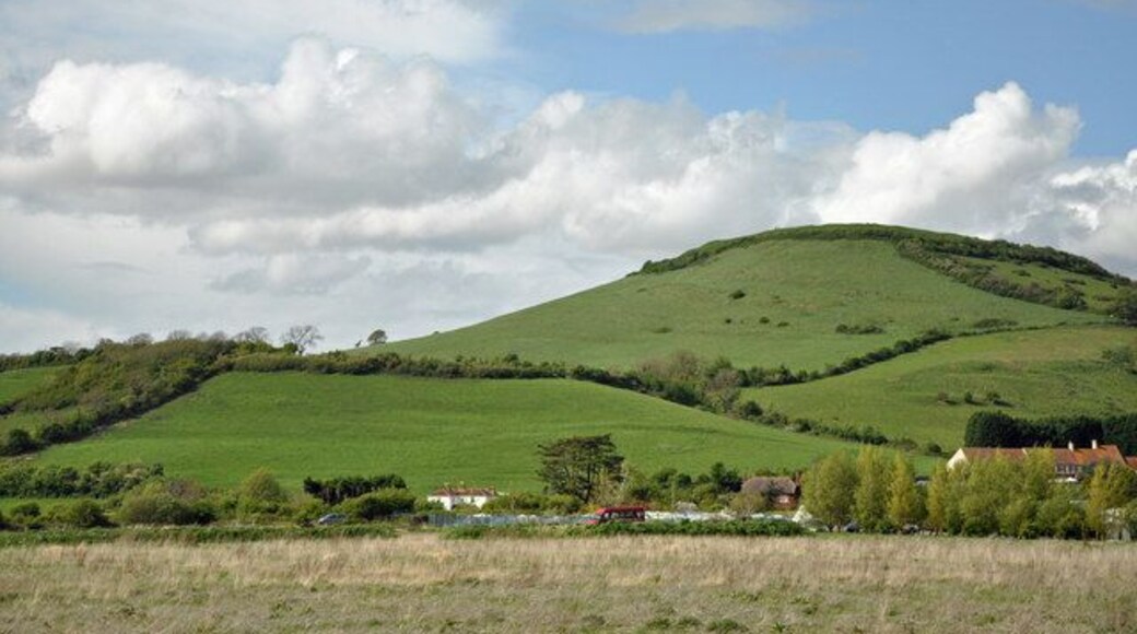 Brent Knoll