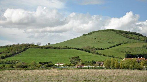 Brent Knoll