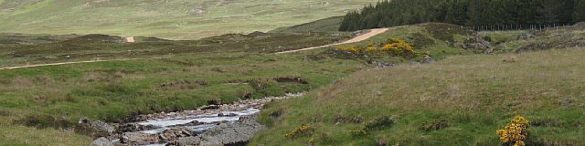 Black Water The river near Dalbreak with a very distant Ben Armine in the background.