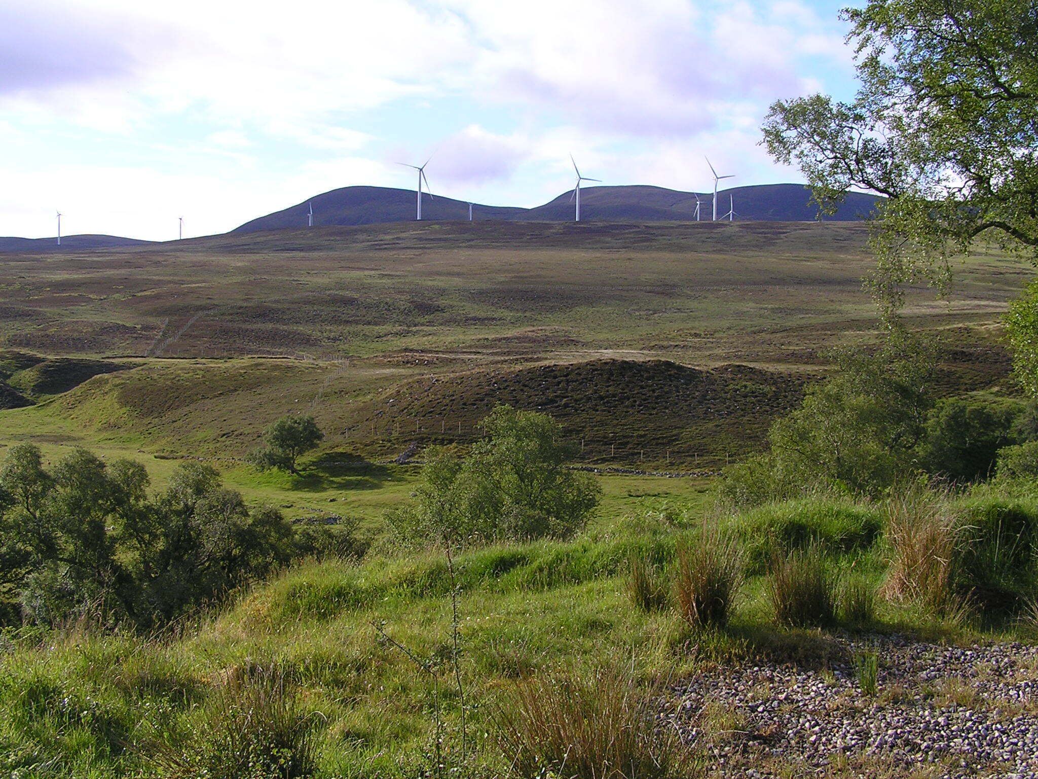 A hilly landscape with wind turbines and a tree.