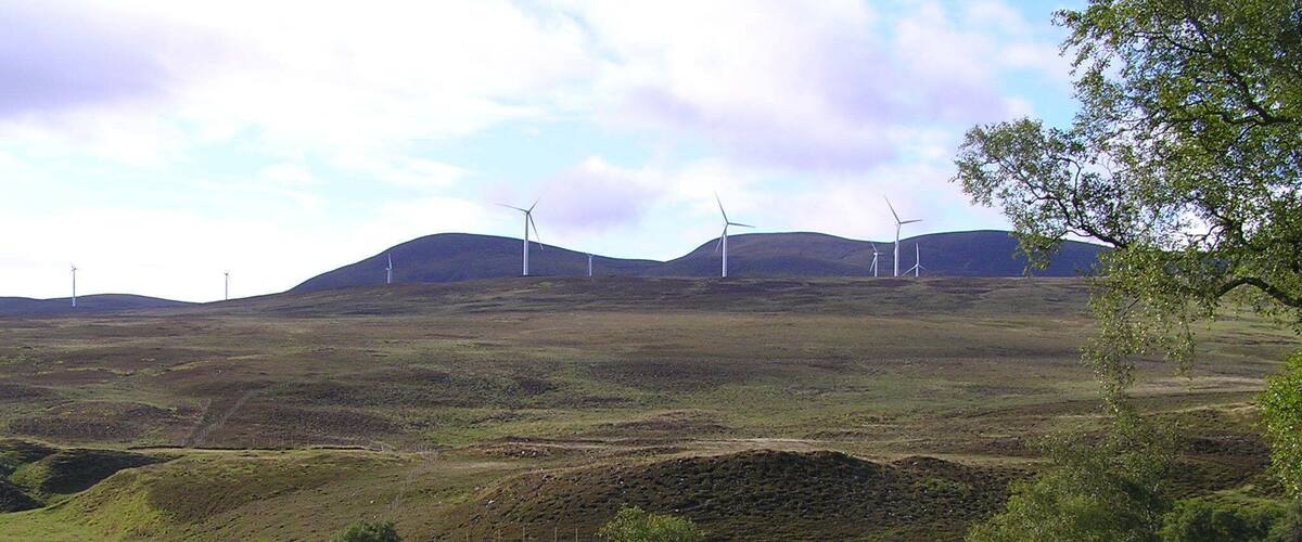 A hilly landscape with wind turbines and a tree.