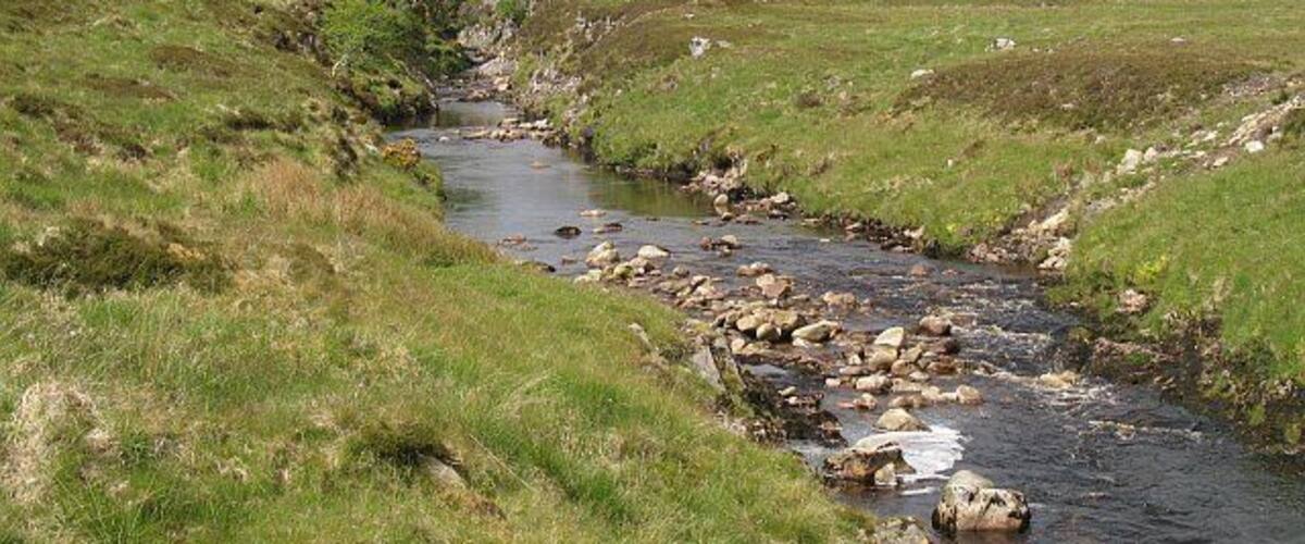Black Water or Abhainn Strath na Seilge The river seen from by the bridge on the Ben Armine Road. The small gorge provides enough steep ground to allow the survival of trees.