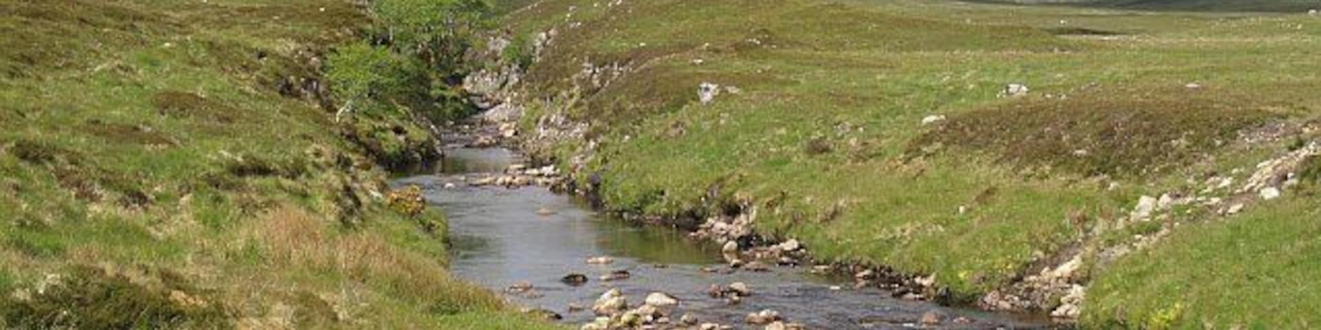 Black Water or Abhainn Strath na Seilge The river seen from by the bridge on the Ben Armine Road. The small gorge provides enough steep ground to allow the survival of trees.