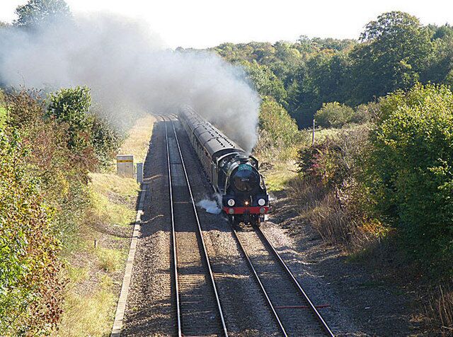 A steam locomotive on railway tracks surrounded by greenery.
