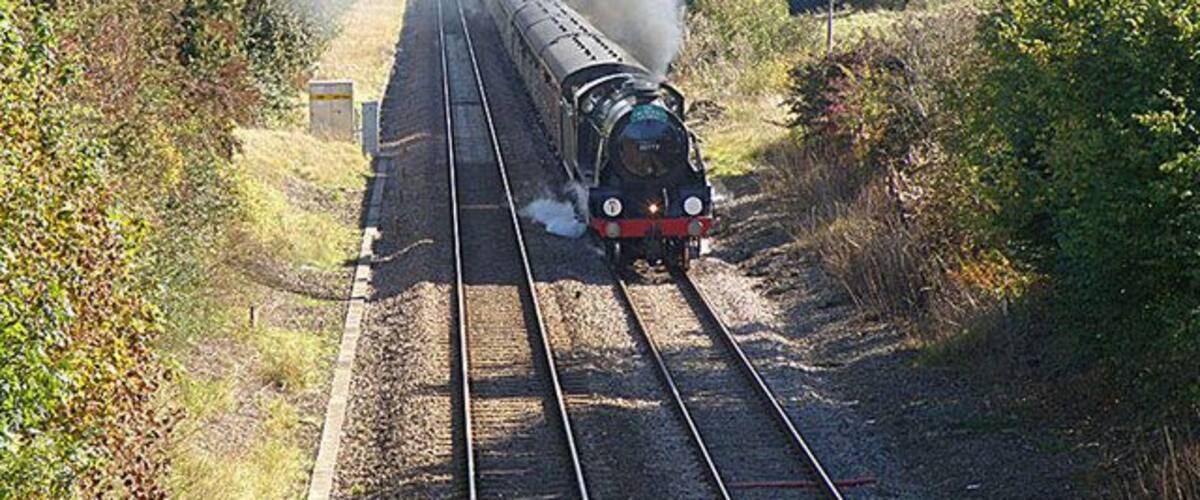 A steam locomotive on railway tracks surrounded by greenery.