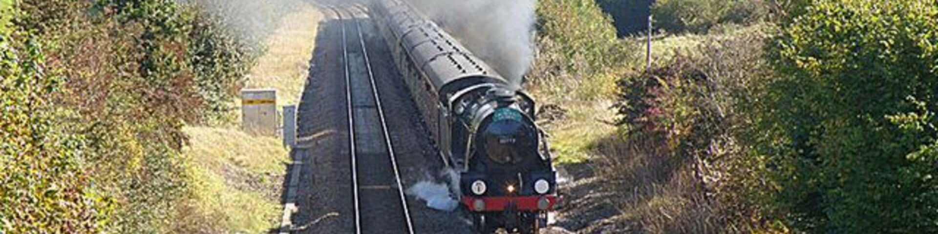 A steam locomotive on railway tracks surrounded by greenery.
