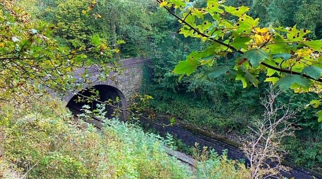 West portal, Sapperton Short Tunnel, near Daneway A slightly longer view of the portal. It is in a very deep cutting with almost sheer sides. The lower part of the sides are lined with stone walls to reduce the risk of slippage, a fault that has plagued parts of the line since its inception in the 1840s.