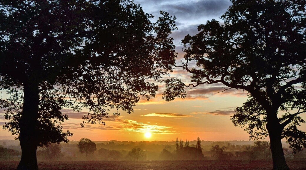 Our village has the most beautiful sunrises, these are my favourite trees, I visit them often!
