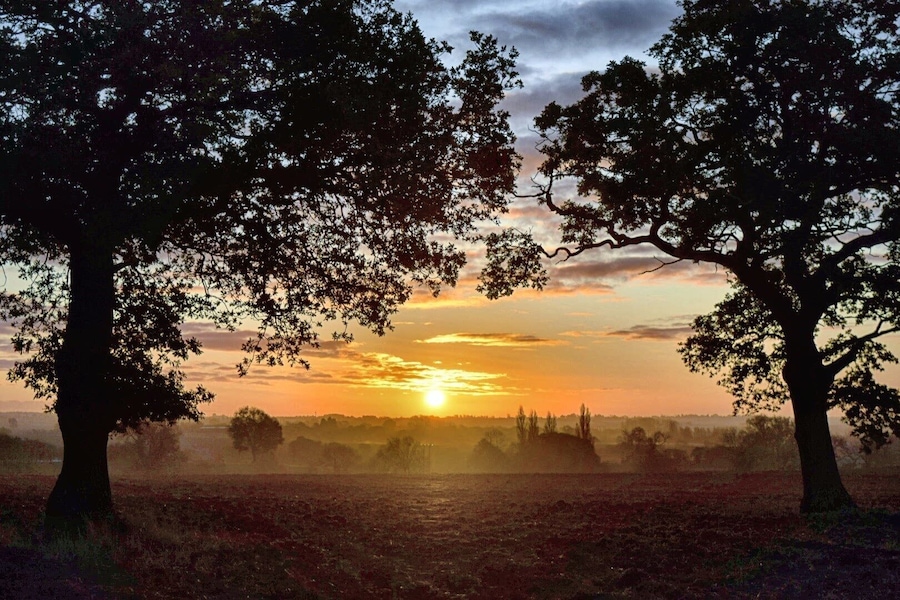 Our village has the most beautiful sunrises, these are my favourite trees, I visit them often!
