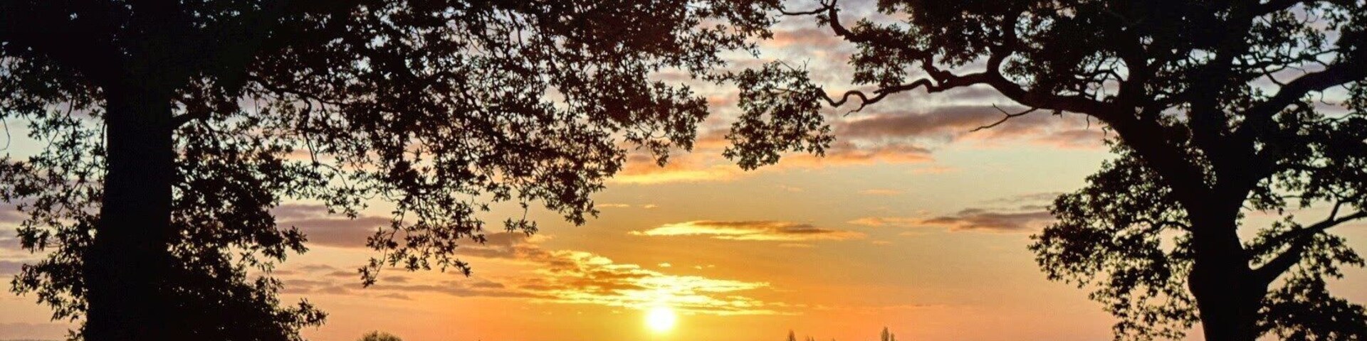 Our village has the most beautiful sunrises, these are my favourite trees, I visit them often!