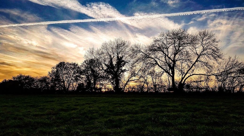 Sunset clouds this afternoon