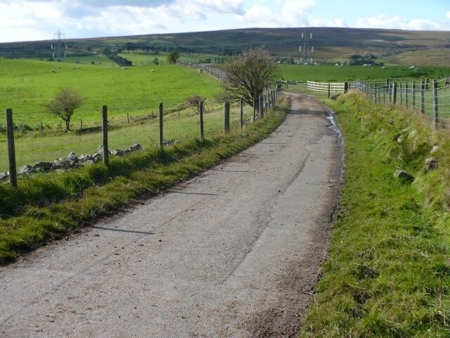 A rural road flanked by fences and green fields.