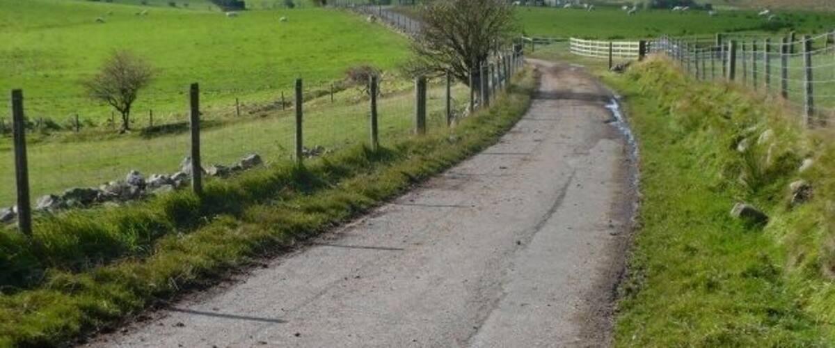 A rural road flanked by fences and green fields.