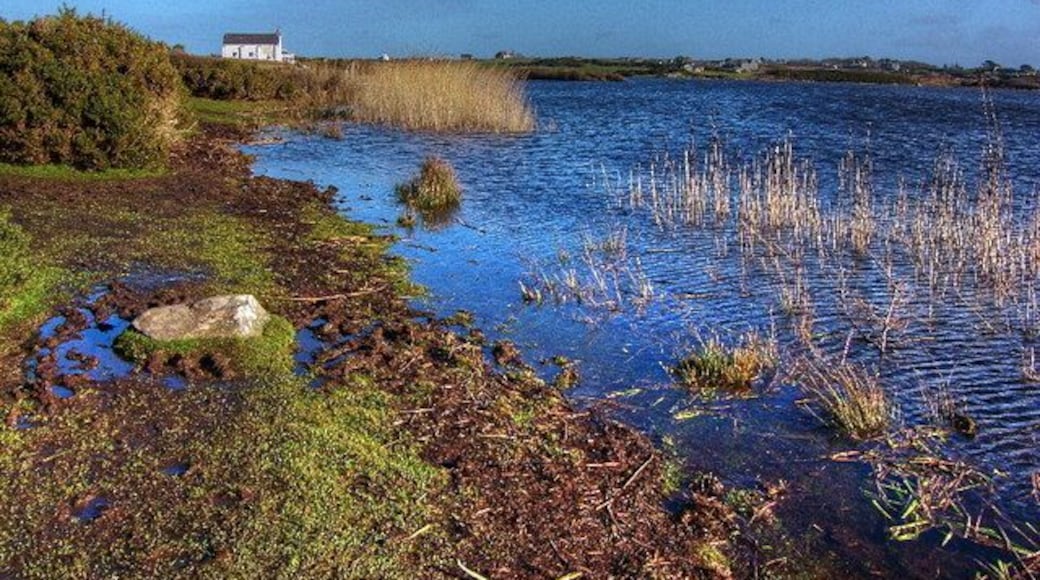 Llyn Maelog The shore of the Maelog Lake looking towards a house called Betws.