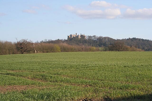 A castle on a hill, a green field, and a clear sky.