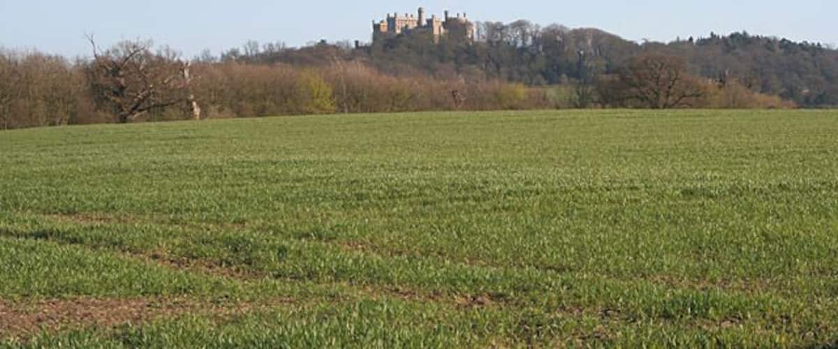 A castle on a hill, a green field, and a clear sky.
