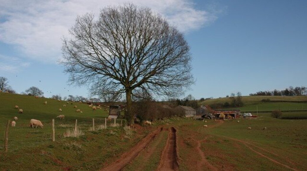 Farm at Cutmill, near Ketford