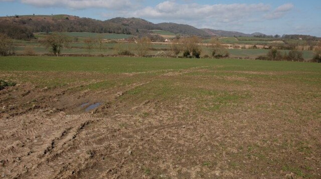 Farmland near Camer's Green This view of farmland and the Malvern Hills is from the lane about half a mile to the south-west of Camer's Green.