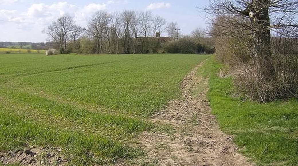 Approaching Wood Farm The footpath actually goes to the right of this hedge line. The farm is surrounded by arable land in large fields. There is a small pond in the trees in front of the farm buildings.