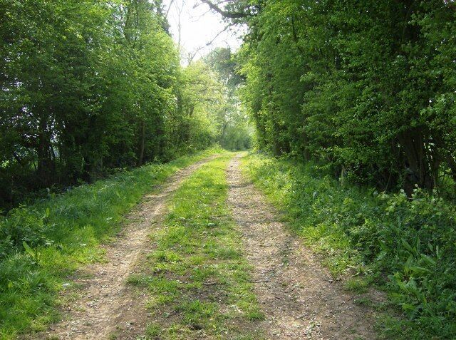 Footpath towards Ratley After a clear cross-field section the footpath is equally clear along this track. This is part of the Macmillan Way long distance path.