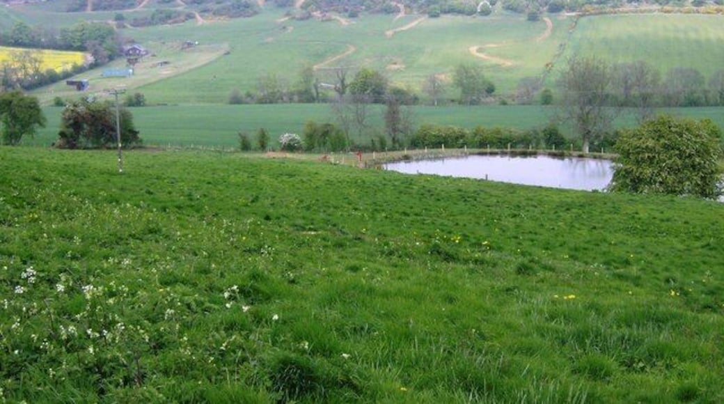 Outdoor activity centre This picture, taken from the western edge of the square, shows most of its northwestern quarter. A new pond in the foreground is built on the location of a spring. The land falls to a minor stream then rises to Camp Barn Farm on the left horizon. The area between is scored with tracks, all part of an outdoor activity centre where things like quad biking and scrambling are being practised. There was also the sound of airguns or clay pigeon shooting.