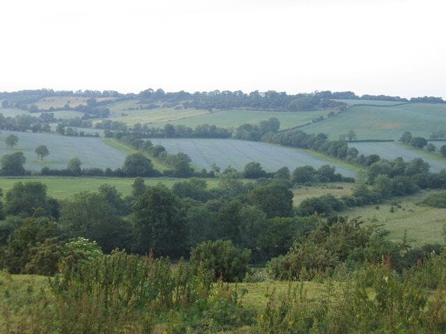 View from Bush Hill. Looking NNW across the valley of the Sor Brook with Arlecote Woods and Nadbury House on the far side and a blue haze, probably flax, in the fields.