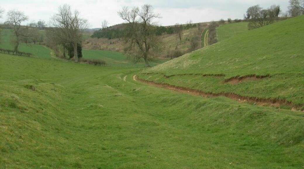 Footpath by Shagborough Copse